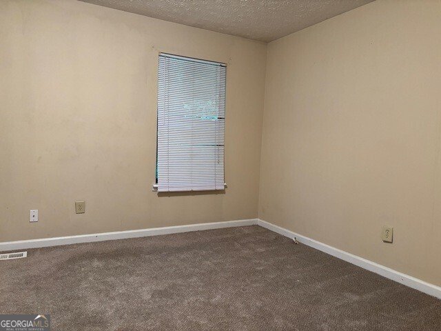 4482 Sunflower Drive Douglasville - Photo 9