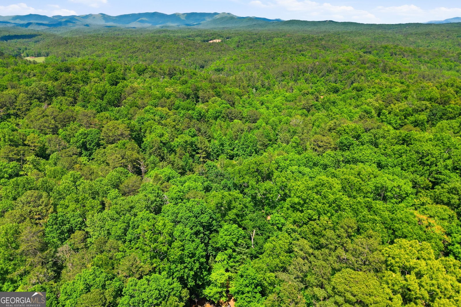 728 Pleasant Gap Road Ellijay - Photo 30
