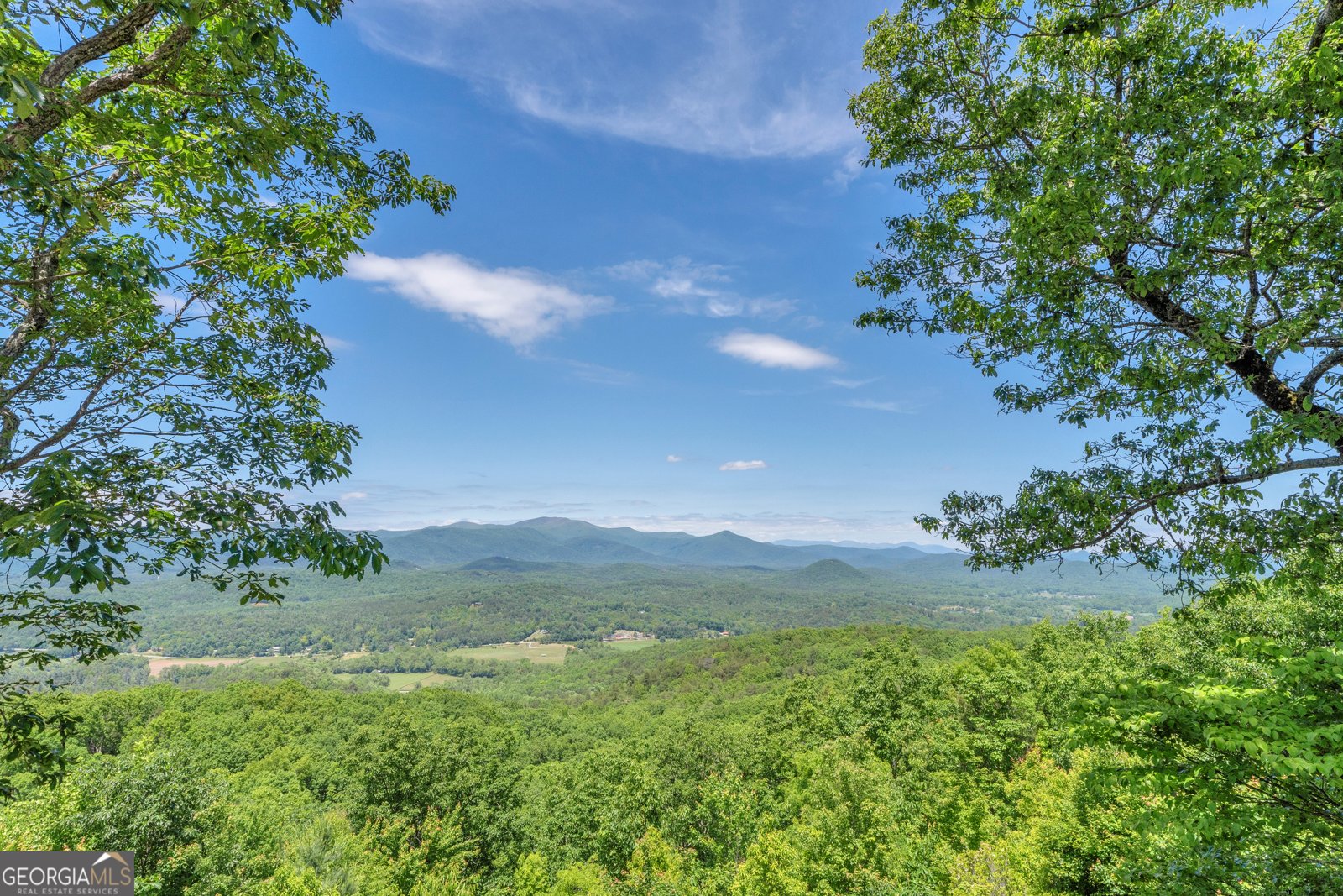 801 Starlight Drive Sautee Nacoochee - Photo 47