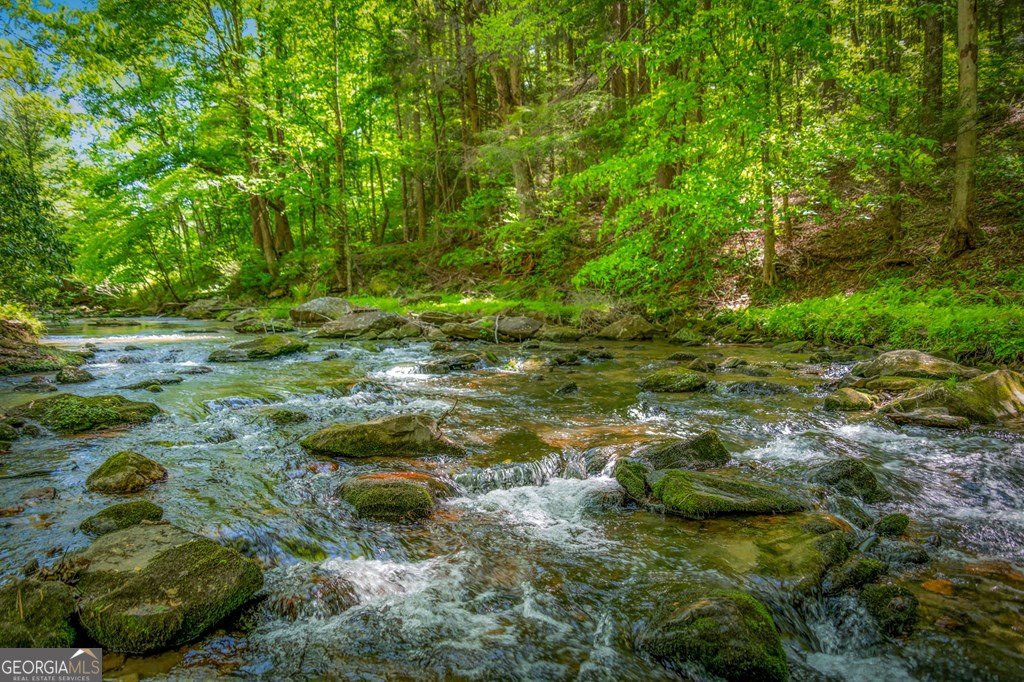 2100 Big Creek Road Cherry Log - Photo 13