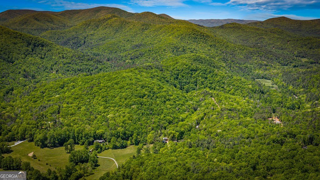 2100 Big Creek Road Cherry Log - Photo 141