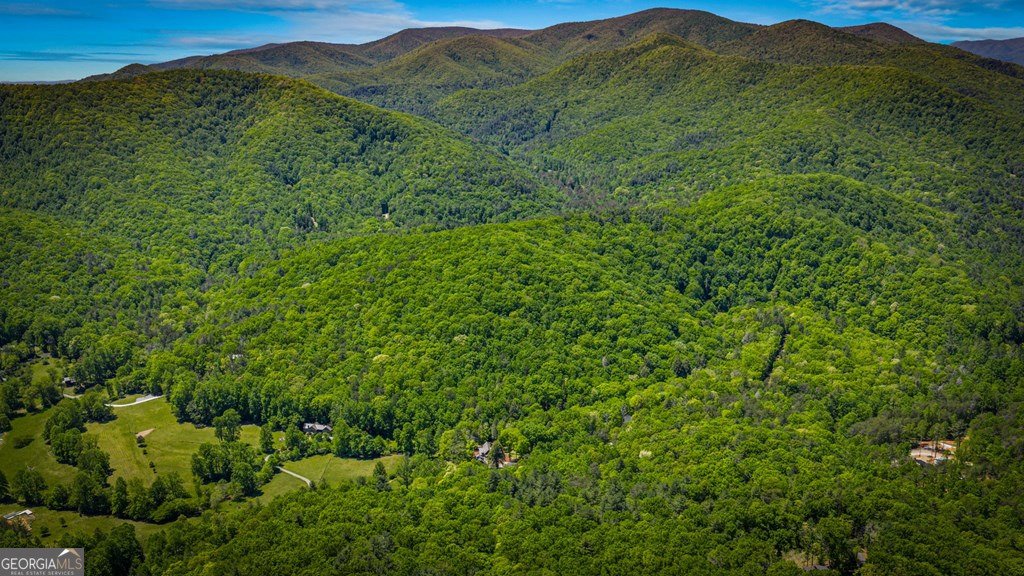 2100 Big Creek Road Cherry Log - Photo 142