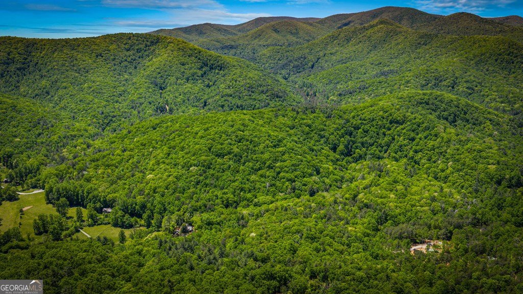 2100 Big Creek Road Cherry Log - Photo 143