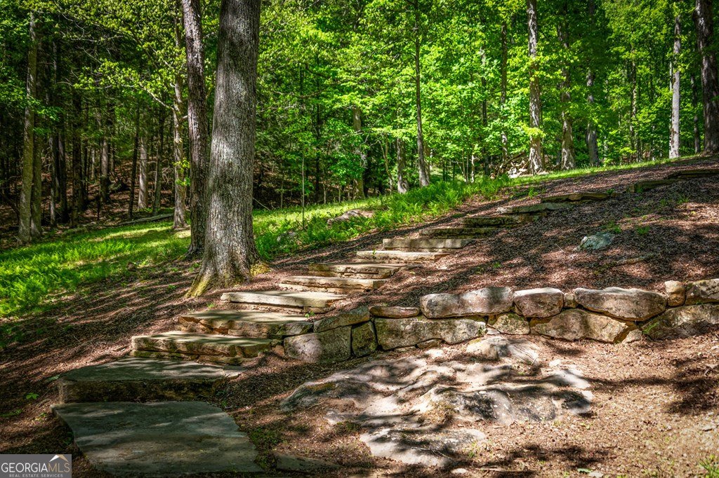 2100 Big Creek Road Cherry Log - Photo 148