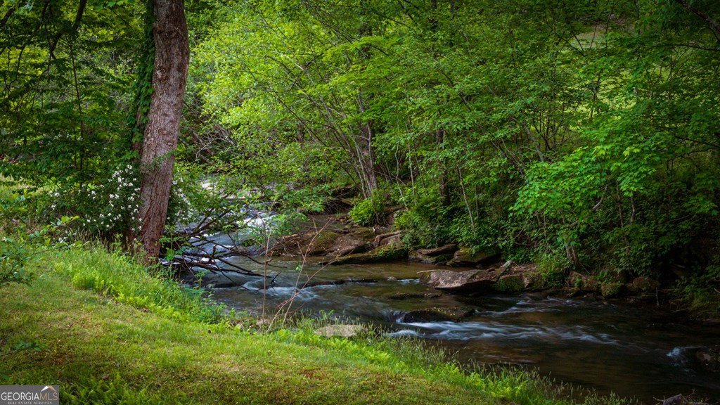 2100 Big Creek Road Cherry Log - Photo 81