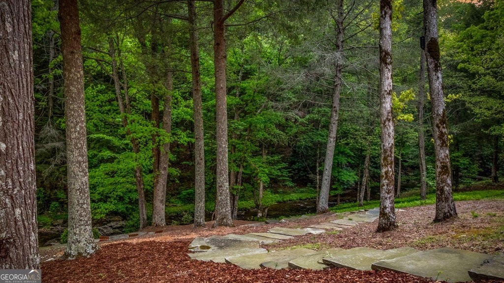 2100 Big Creek Road Cherry Log - Photo 95
