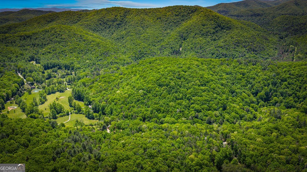 2100 Big Creek Road Cherry Log - Photo 99