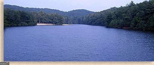 480 Sun Mountain Road Chatsworth - Photo 20