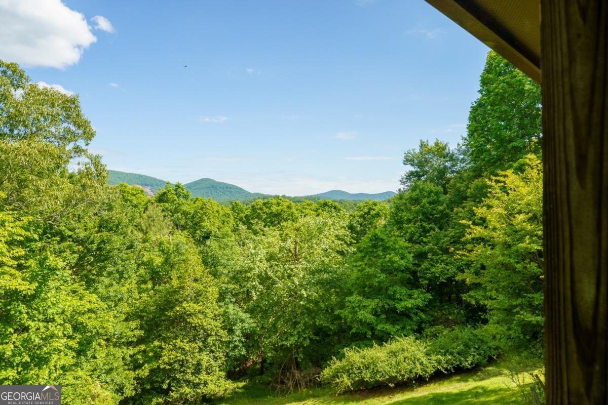 325 Weoka Court Ellijay - Photo 42
