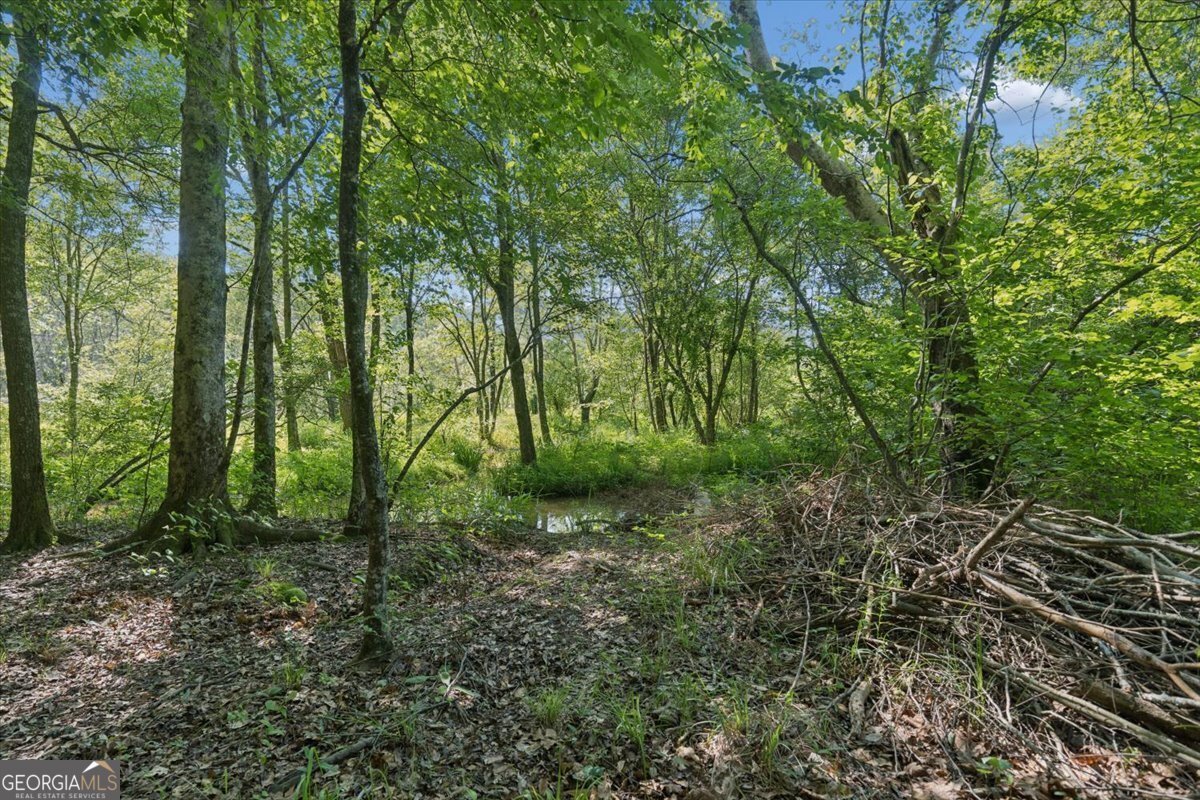 3610 Hwy 142 Newborn - Photo 65