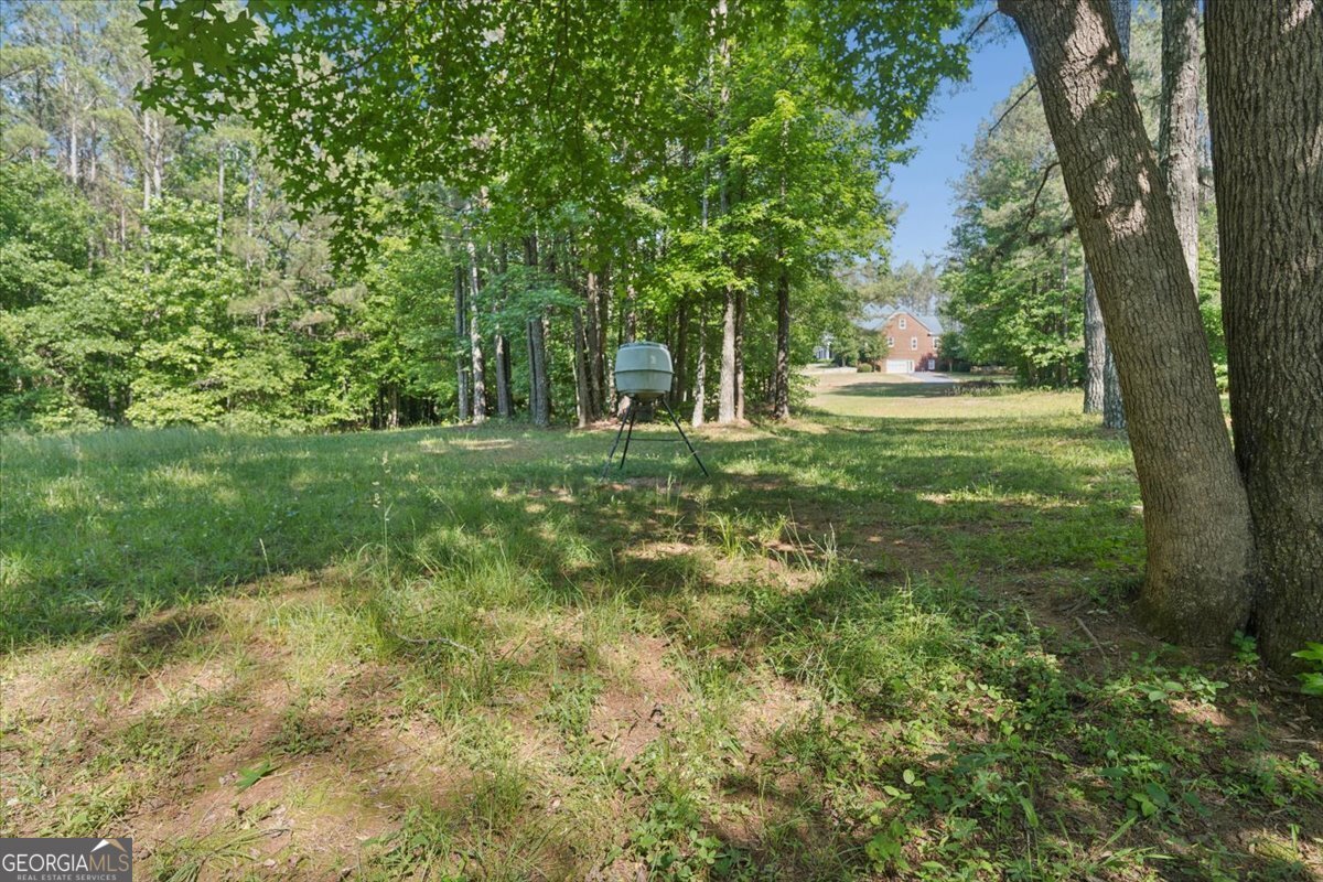 3610 Hwy 142 Newborn - Photo 66