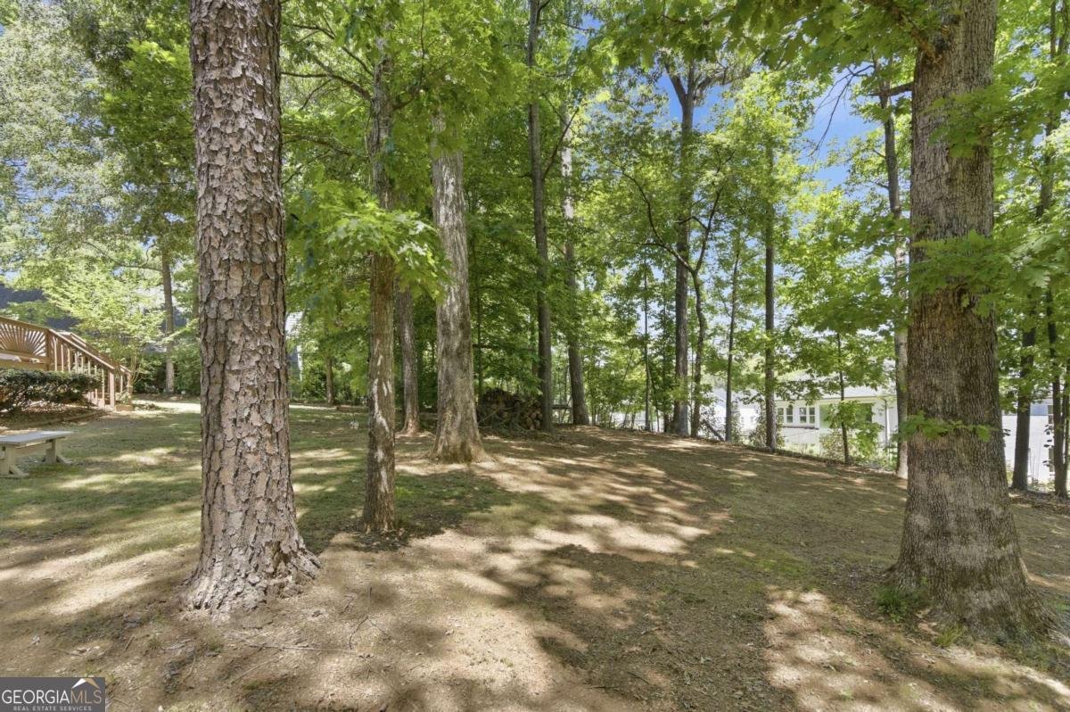 2445 Tillery Lane Cumming - Photo 37