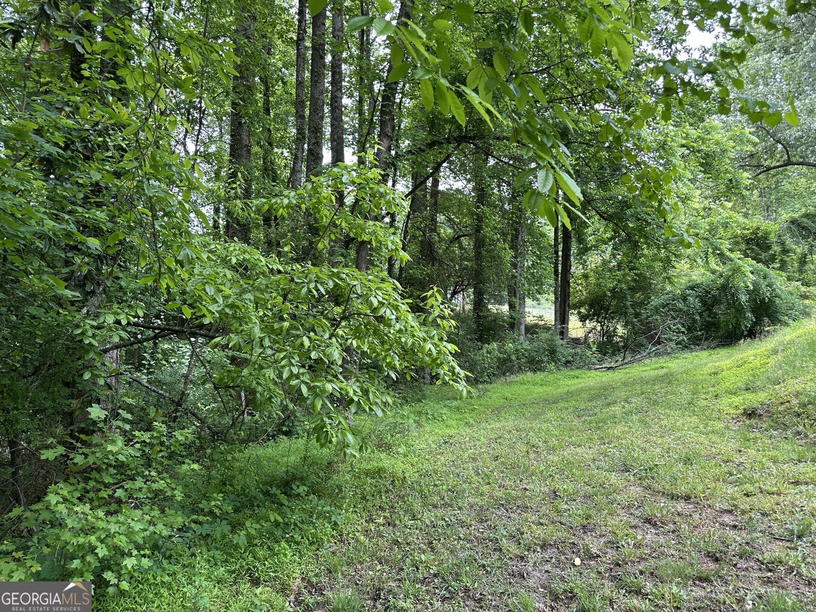 260 Lakey Lane Cornelia - Photo 24