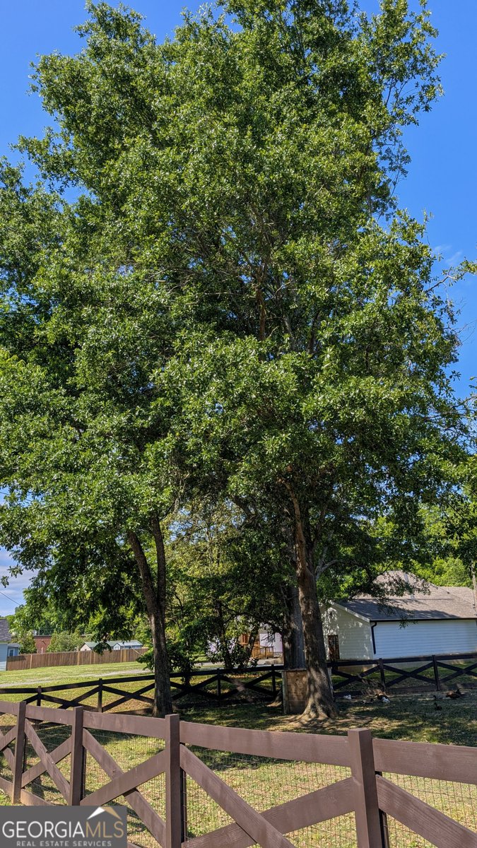 306 Piedmont Avenue Rockmart - Photo 13