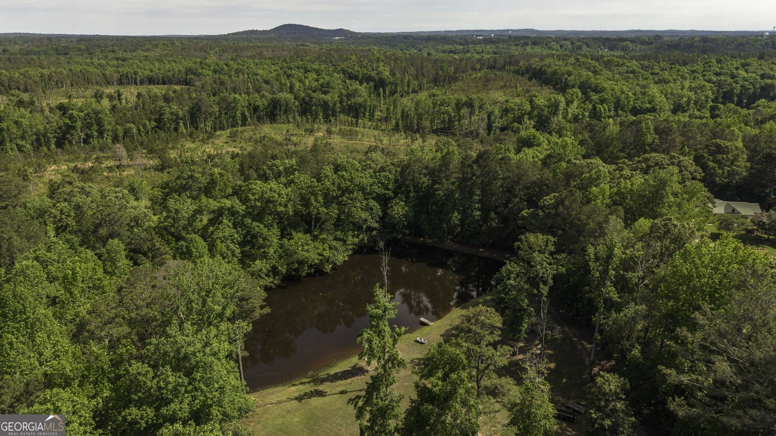 715 Ga Highway 120 Tallapoosa - Photo 66
