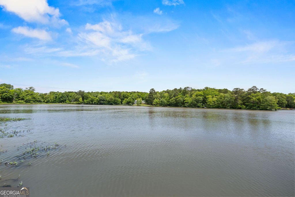 145 Lees Overlook Fayetteville - Photo 49