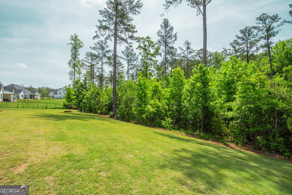 400 Atlantica Drive Newnan - Photo 56