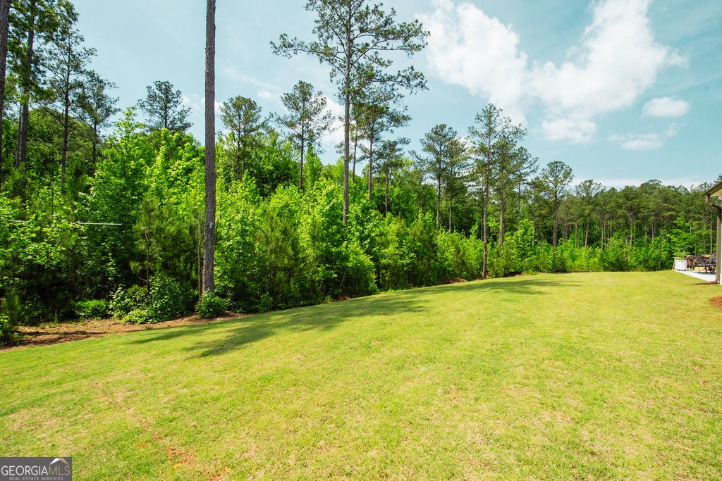 400 Atlantica Drive Newnan - Photo 57