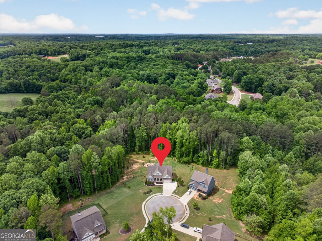 163 Hewett Road Pendergrass - Photo 75