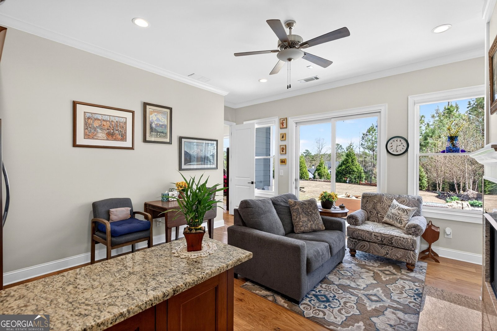 61 Forest Berry Court Newnan - Photo 35