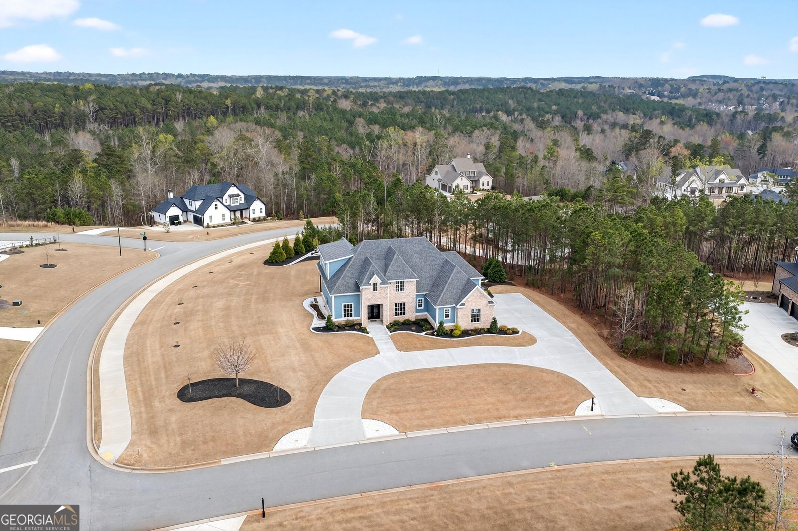 61 Forest Berry Court Newnan - Photo 66