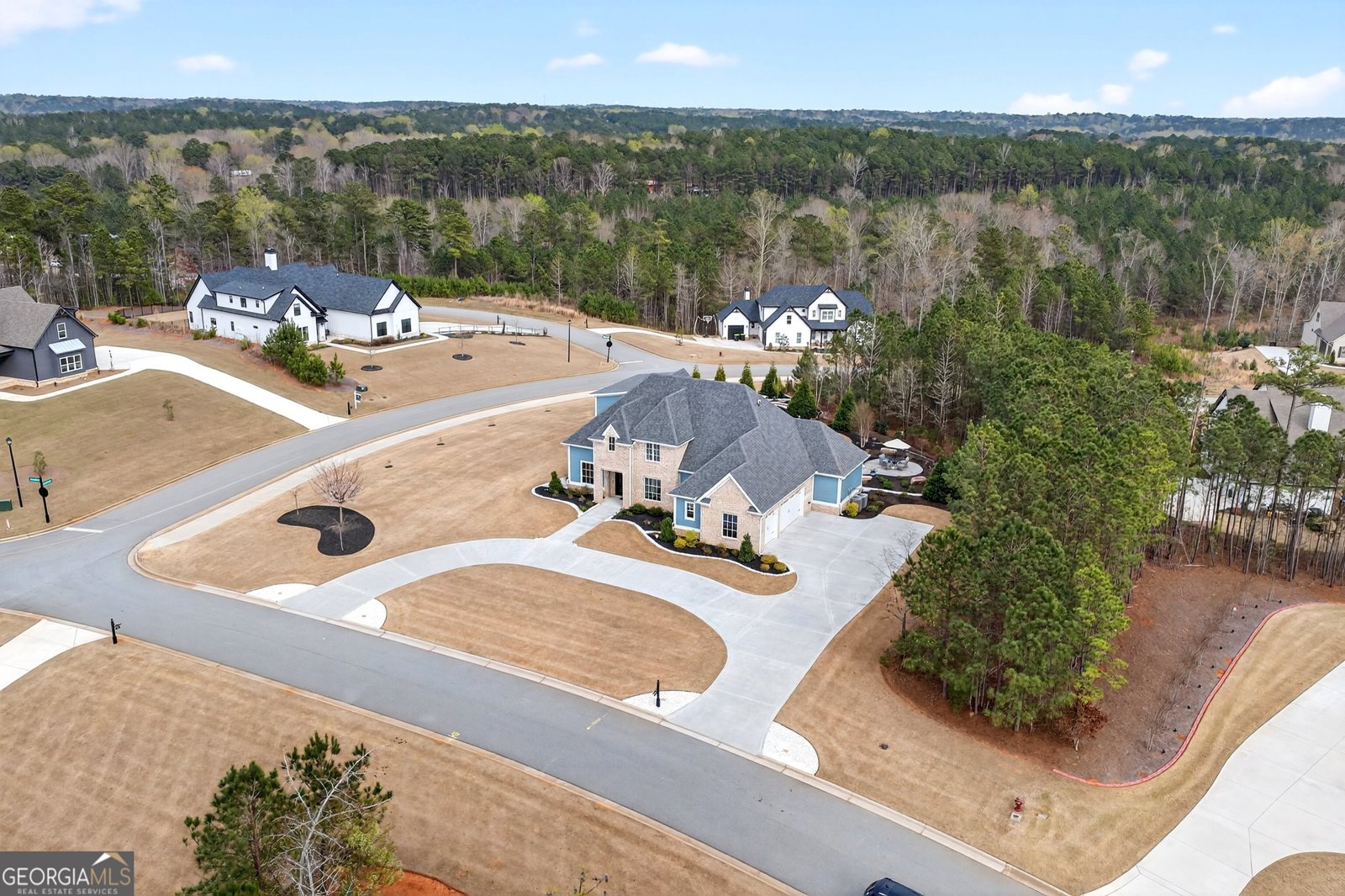 61 Forest Berry Court Newnan - Photo 67