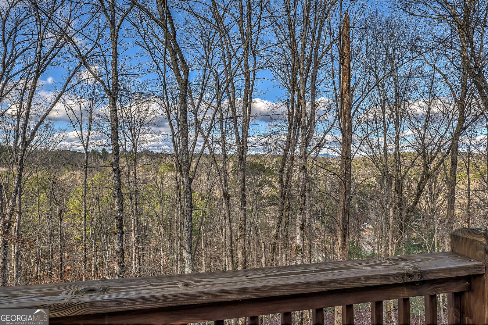 403 Gunite Circle Ellijay - Photo 30