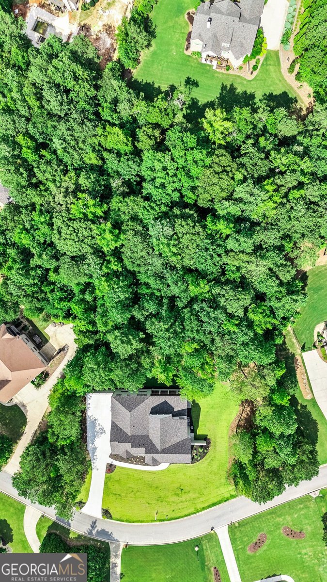 47 Sagewood Court Newnan - Photo 92