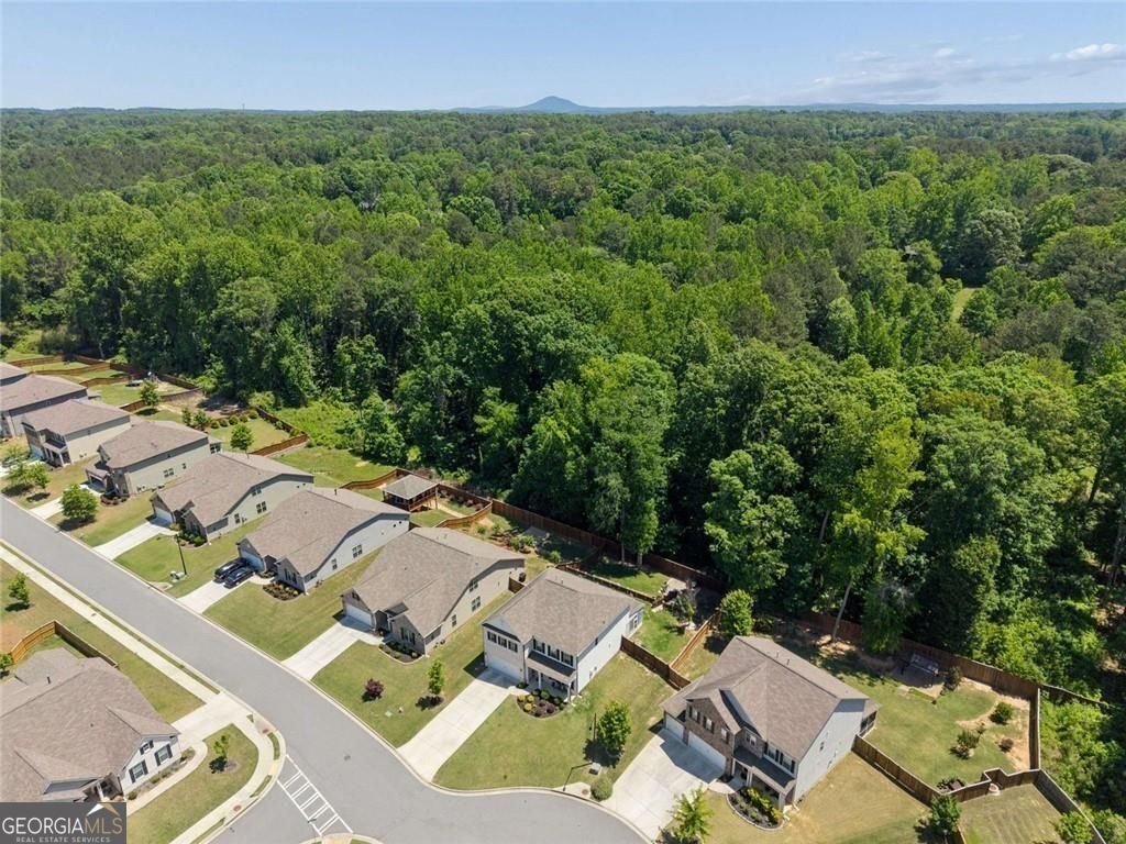 1877 Hanwoo Lane Powder Springs - Photo 58