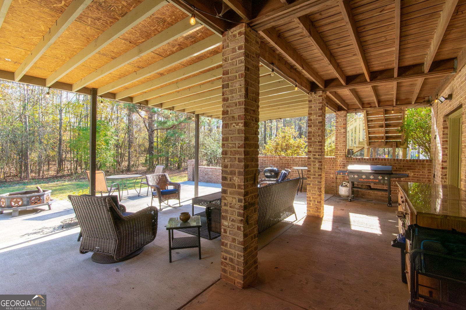 190 Carl Williams Road Senoia - Photo 76