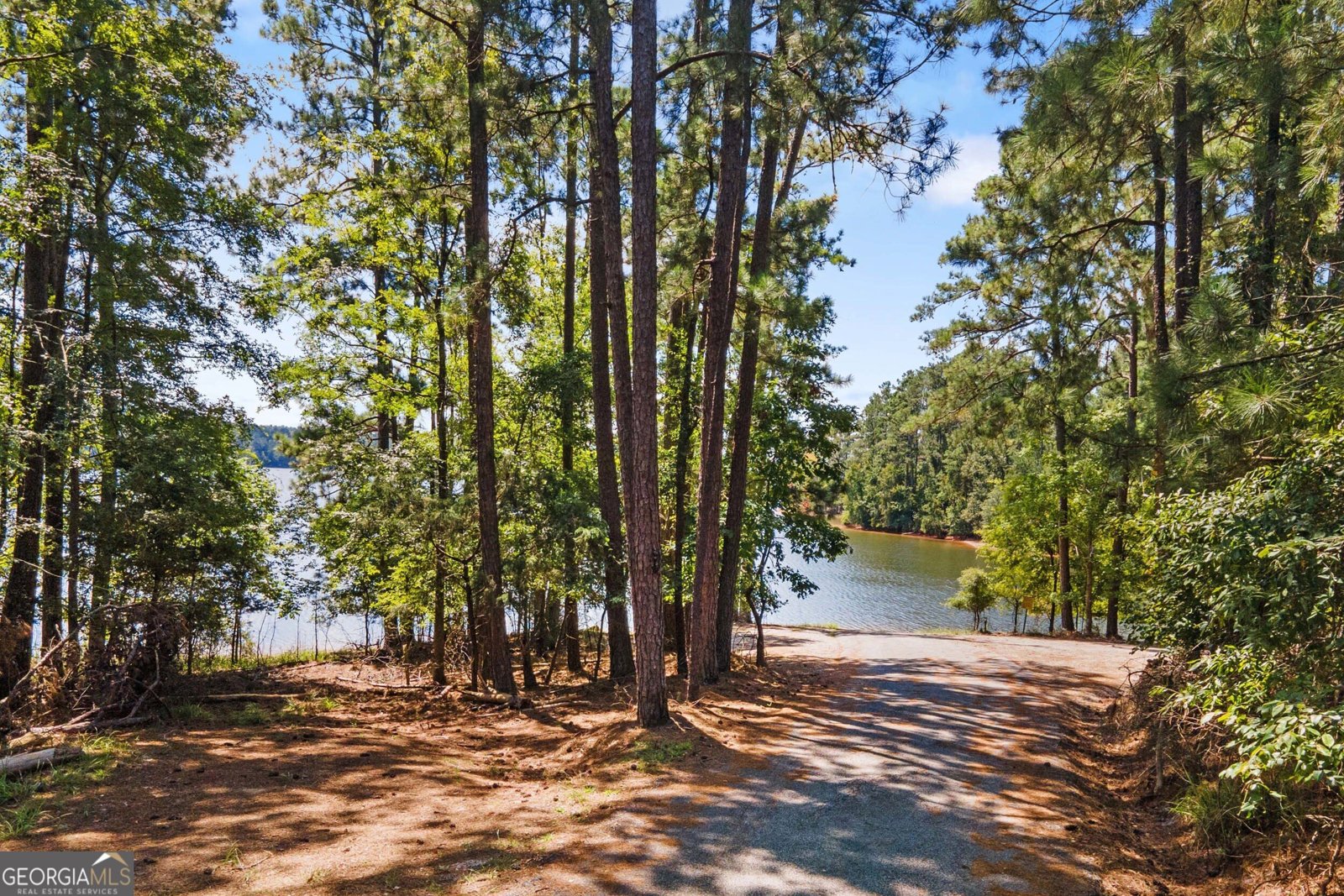 1003 Mohawk Drive Lincolnton - Photo 62