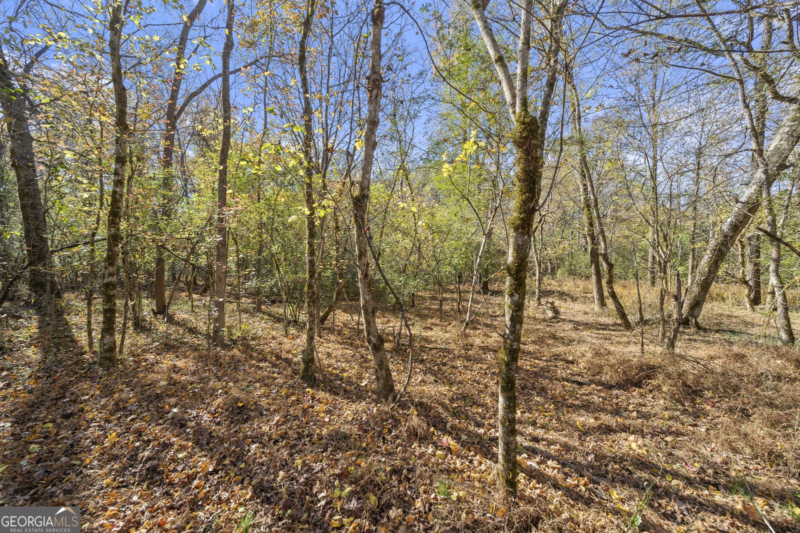 131 Cords Bridge Road Milledgeville - Photo 45