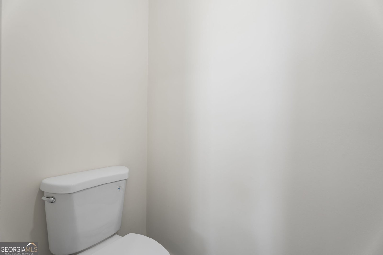 54 Higgins Locust Grove - Photo 46
