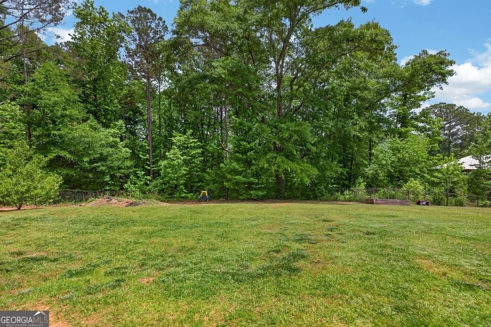 48 Cook Street Tallapoosa - Photo 26