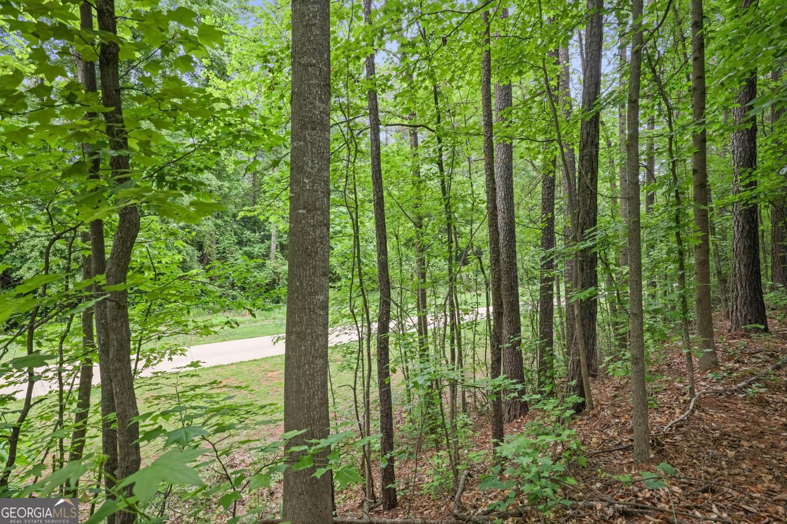 1971 Silver Birch Drive Smyrna - Photo 35