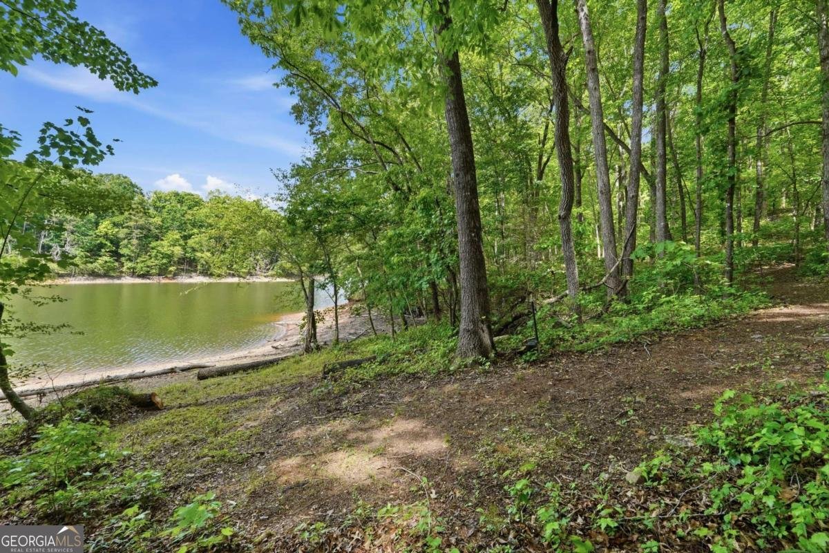 3480 Talking Leaves Trail Gainesville - Photo 35