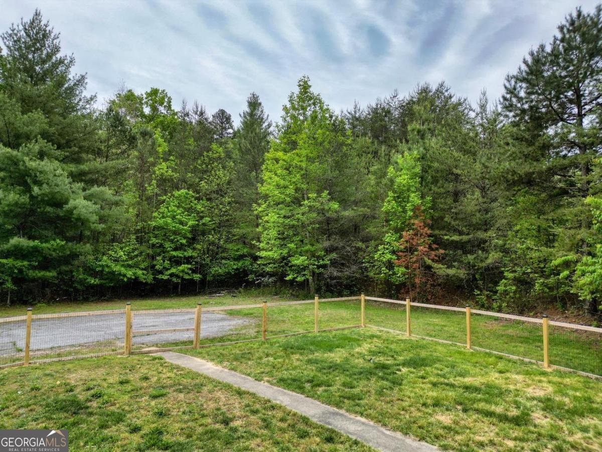1085 Jones Creek Road Blairsville - Photo 43