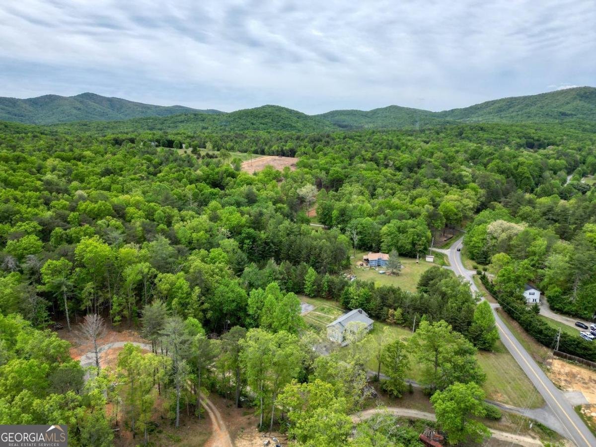 1085 Jones Creek Road Blairsville - Photo 49