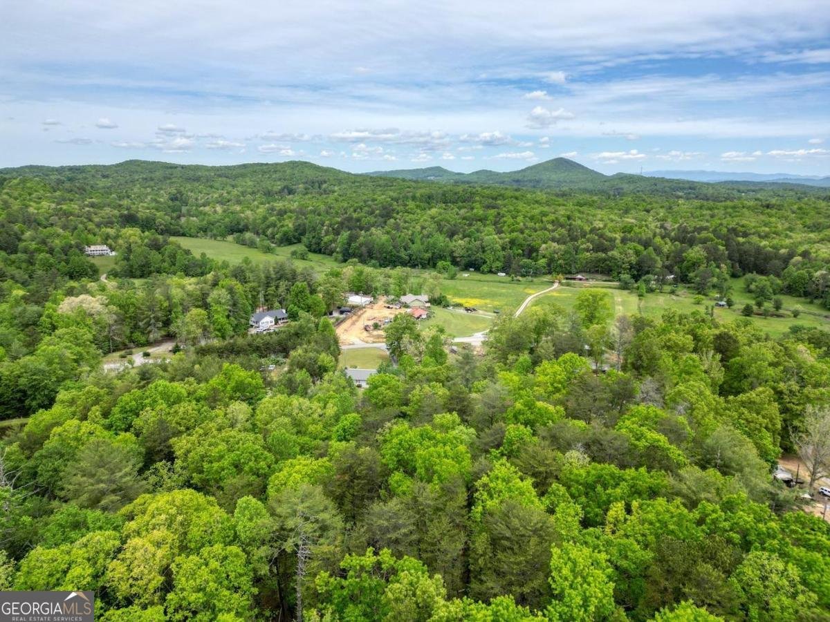 1085 Jones Creek Road Blairsville - Photo 50