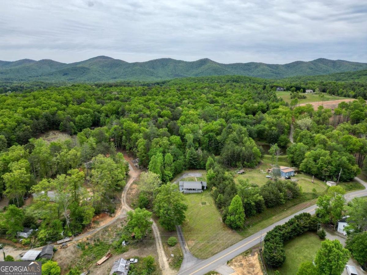 1085 Jones Creek Road Blairsville - Photo 51