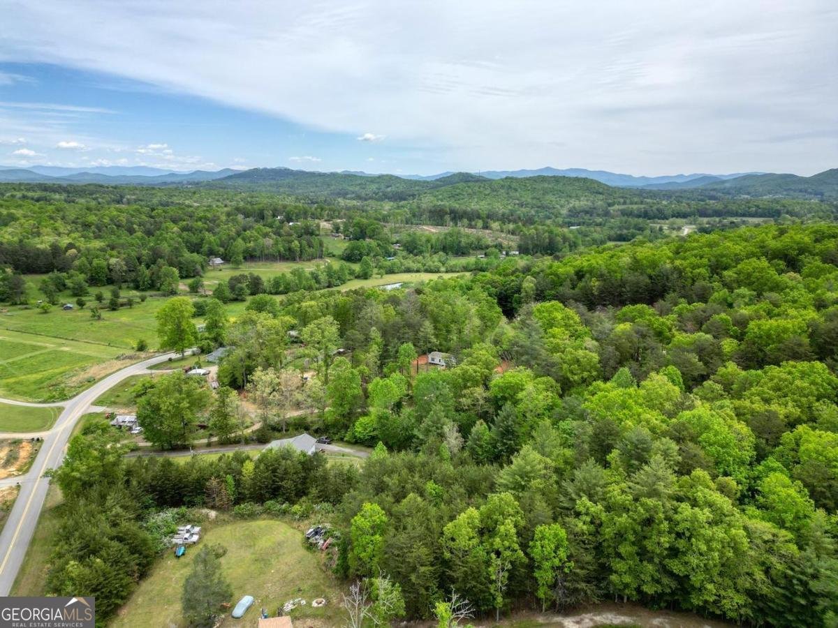 1085 Jones Creek Road Blairsville - Photo 52