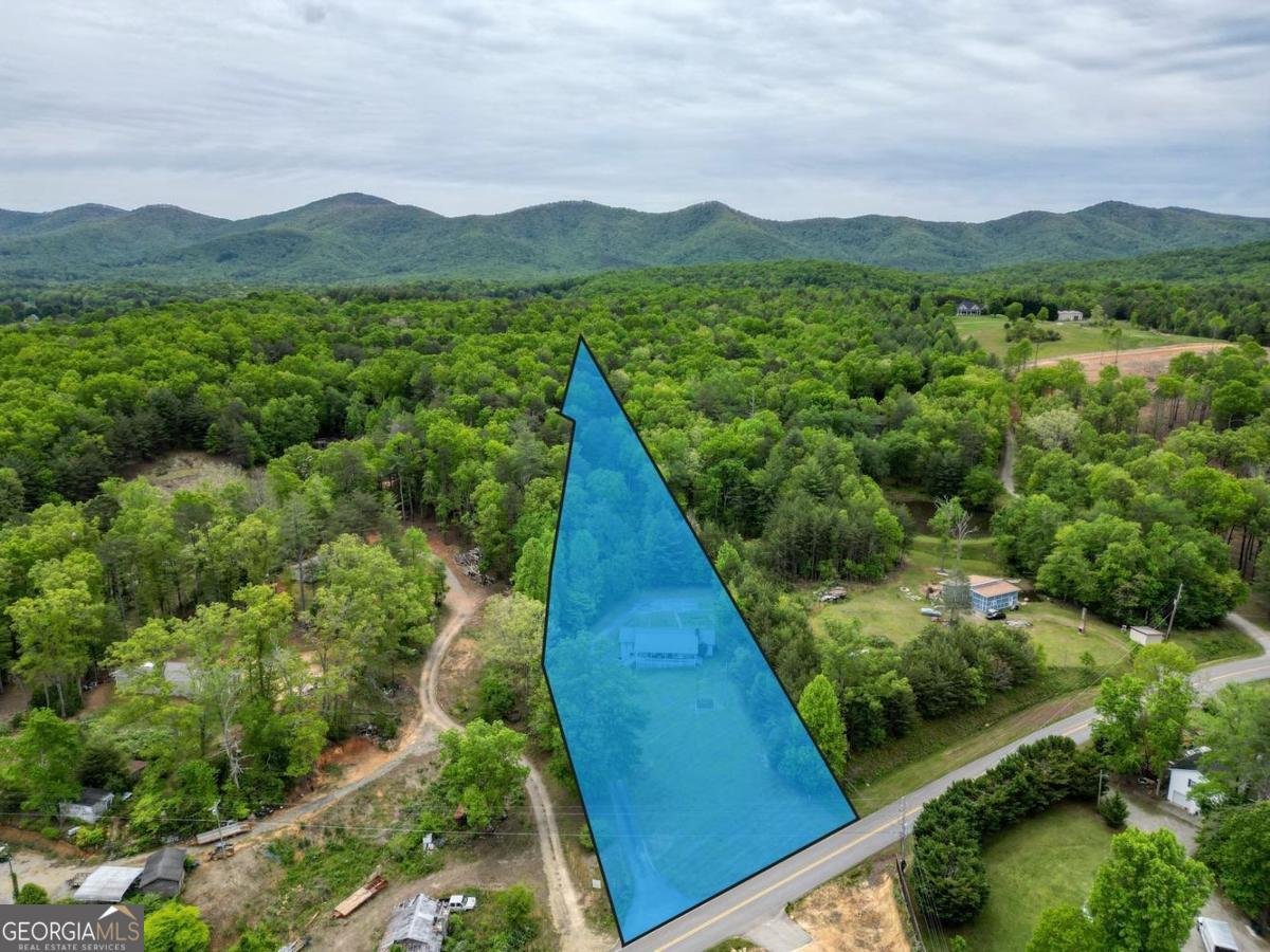 1085 Jones Creek Road Blairsville - Photo 53