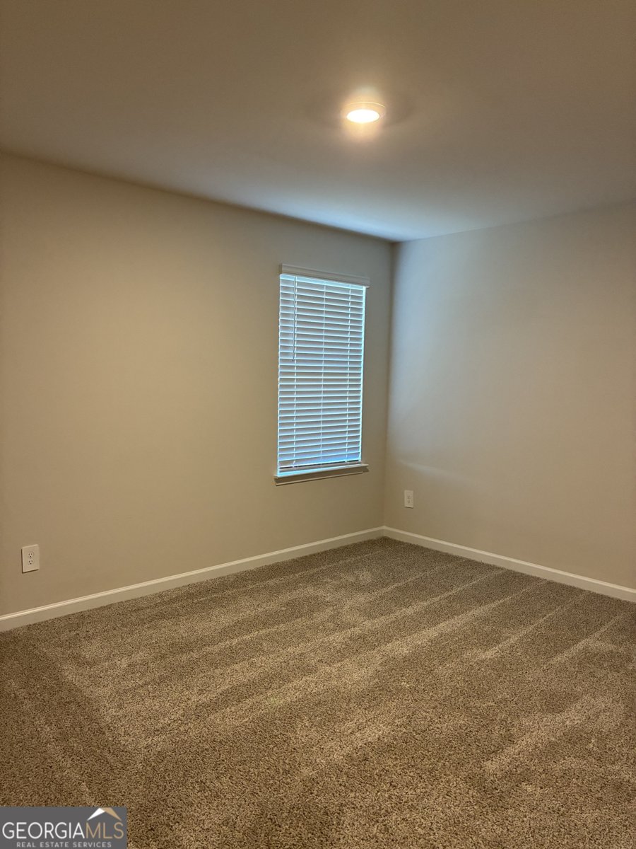 3120 Train Street Buford - Photo 22