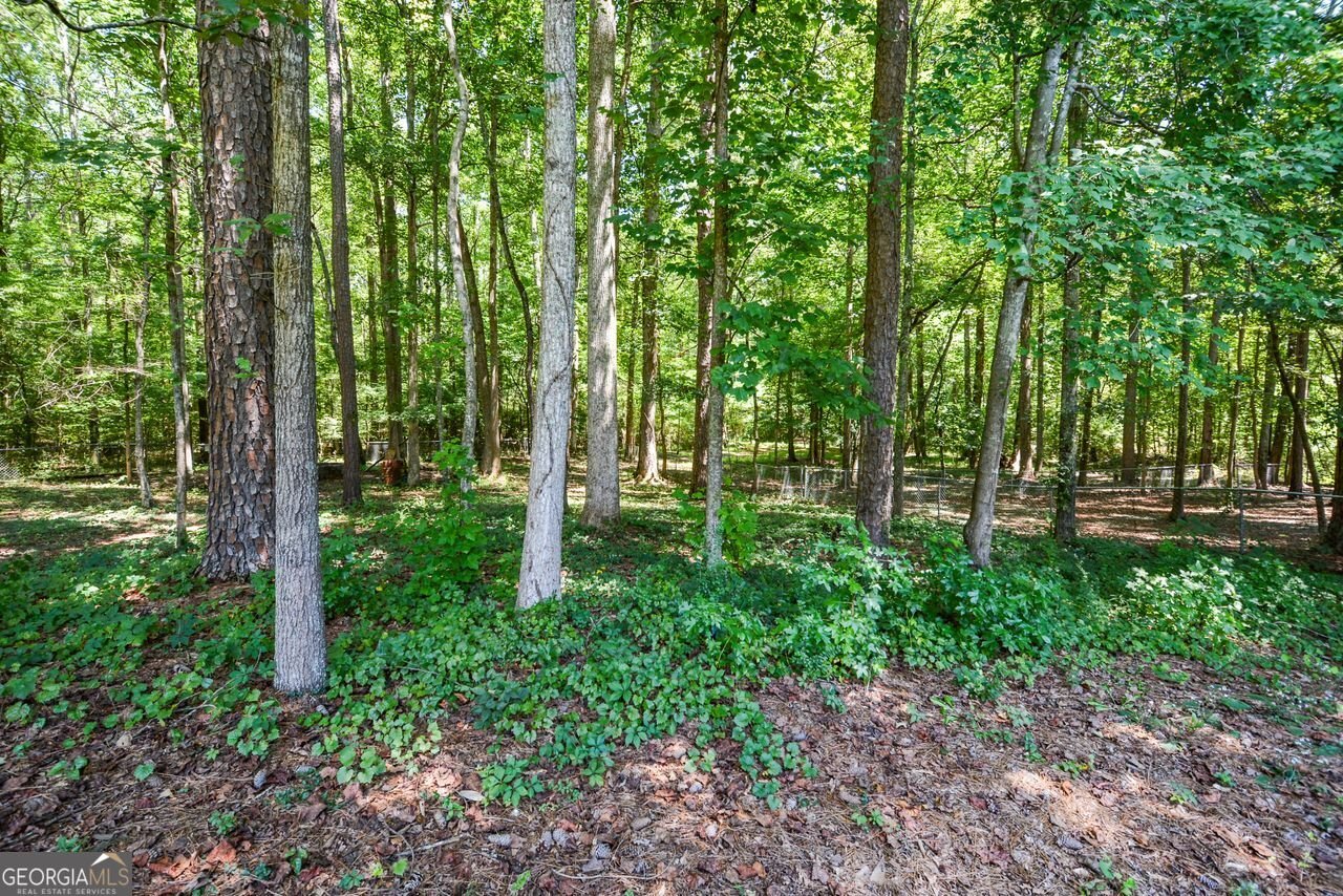 521 Sterling Drive Powder Springs - Photo 20