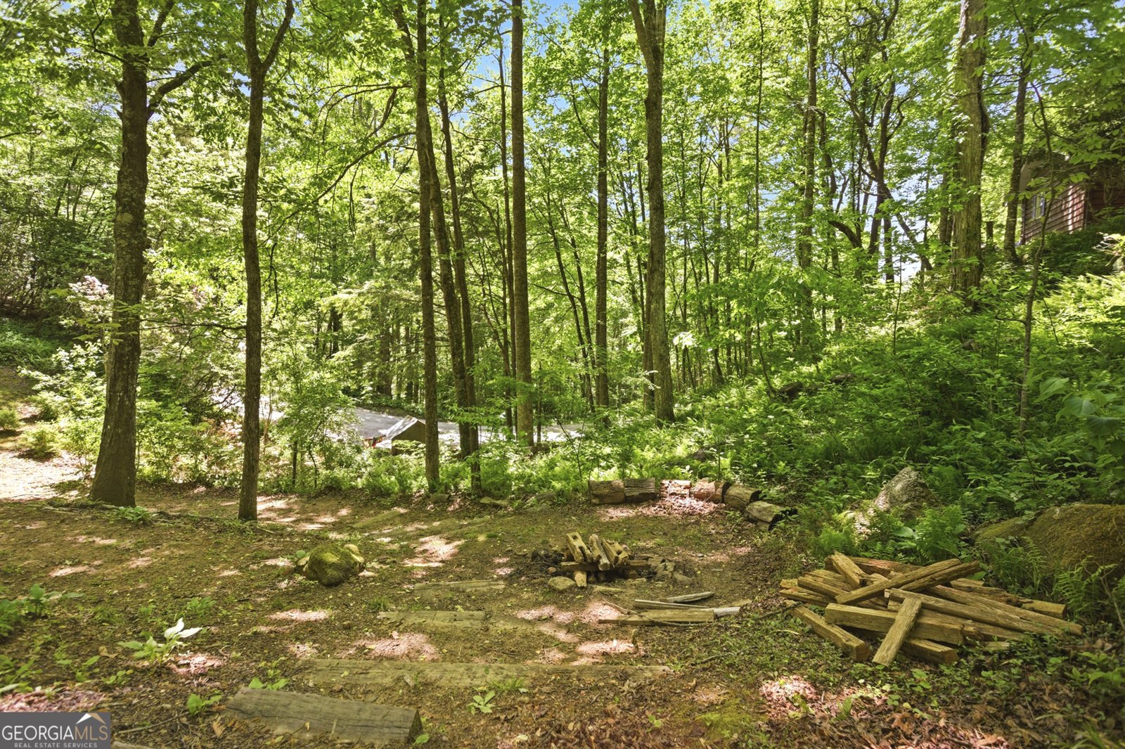 46 Spartan Lane Rabun Gap - Photo 50