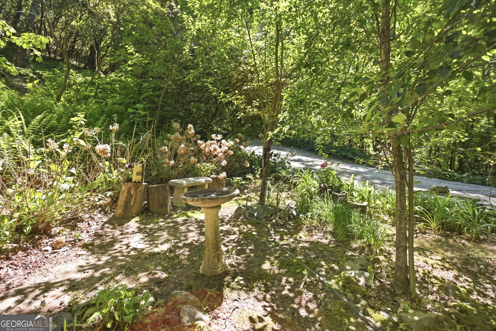 46 Spartan Lane Rabun Gap - Photo 52