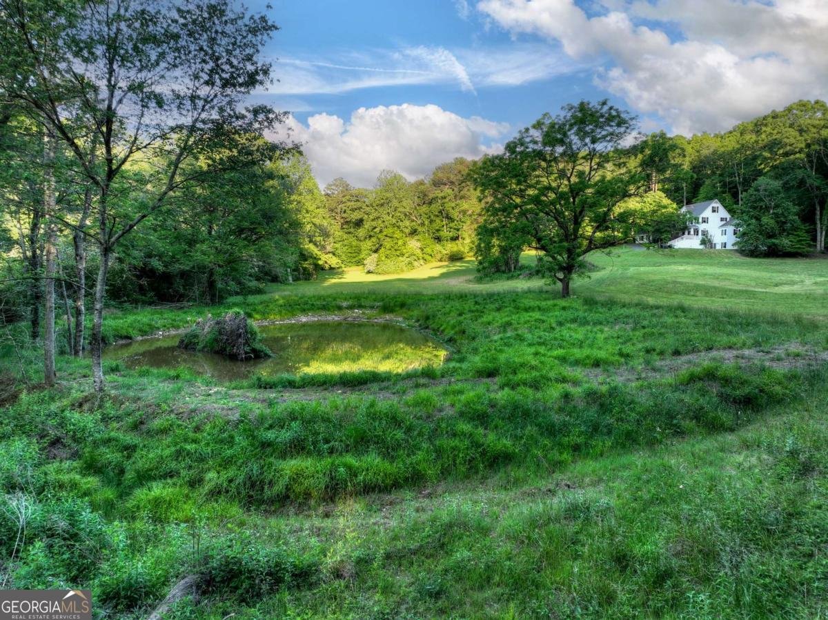 247 Craigtown Road Ellijay - Photo 87