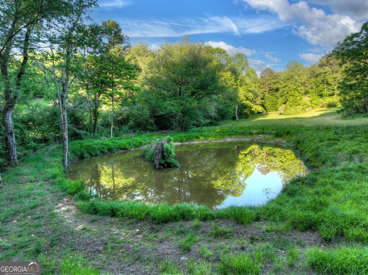 247 Craigtown Road Ellijay - Photo 88