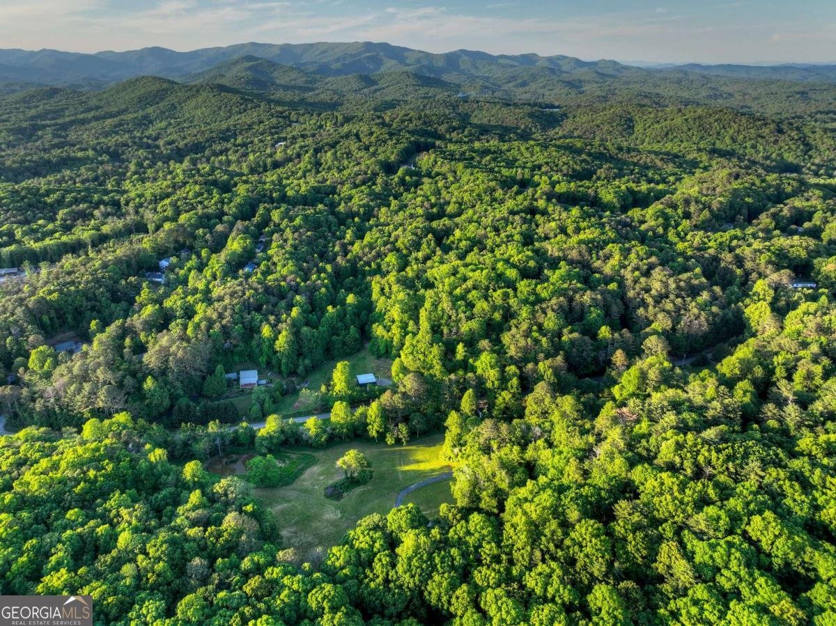 247 Craigtown Road Ellijay - Photo 95