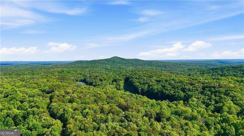122 Woodstream Point Big Canoe - Photo 67